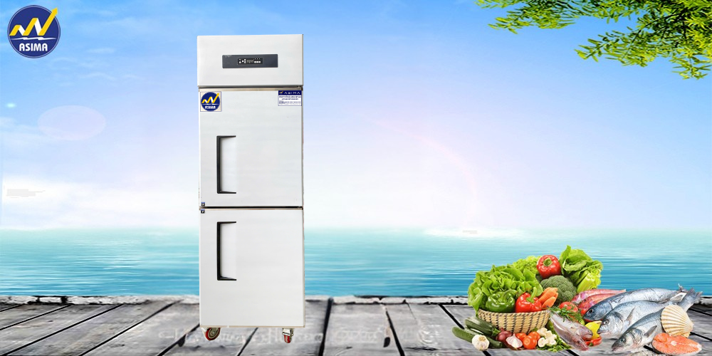 Tủ Đông lạnh 2 Cánh Quạt Gió